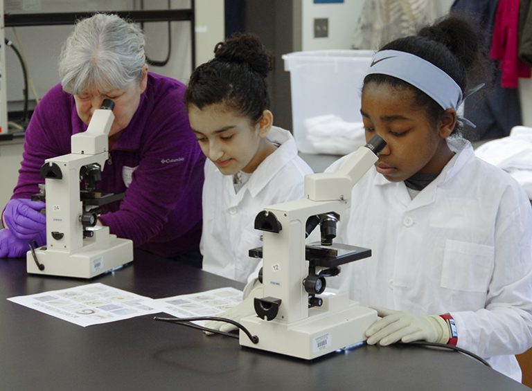 Girls looking through microscopes