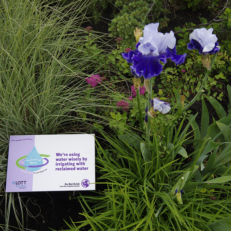 We're using water wisely reclaimed water sign