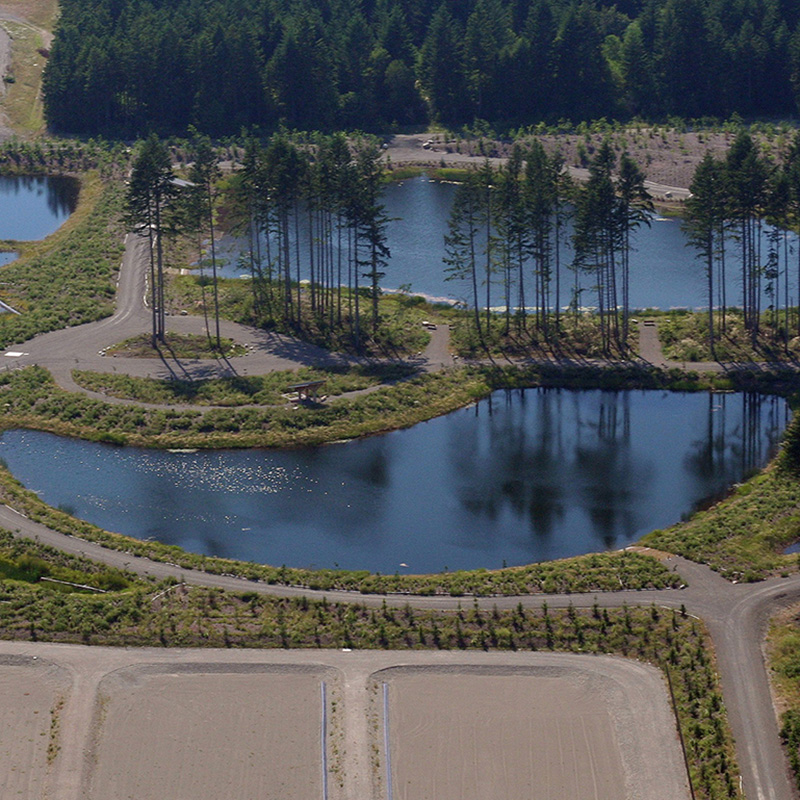 LOTT's Hawks Prairie Ponds and Recharge Basins site, Lacey WA