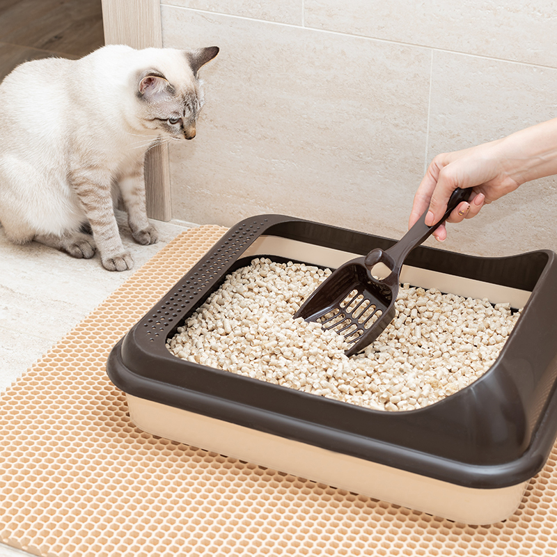 Female hand cleaning cat litter box with shovel at home. Cleanliness and hygiene concept