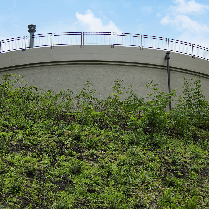 Reclaimed water tank at T Street Park, Tumwater WA