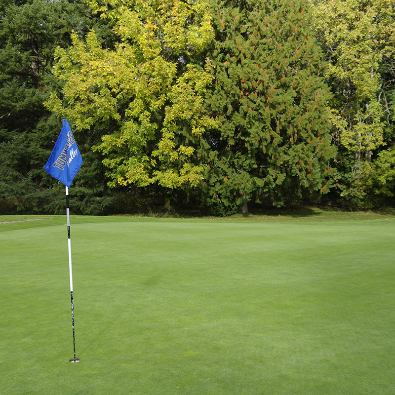Putting green with flag at a golf course